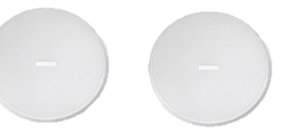 AVICRG8 BLANCO